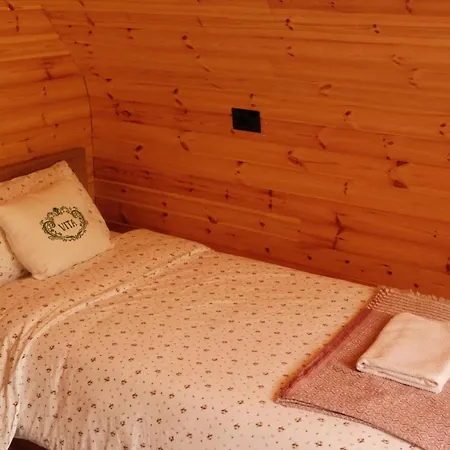 بيت ضيافة Vita Guesthouse