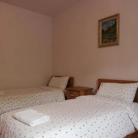 Vita Guesthouse Pensionat *